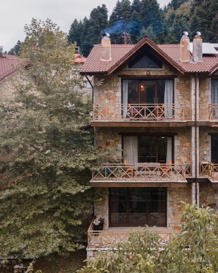 Parnassus Dreamwood Chalet Eptálofos 外观 照片