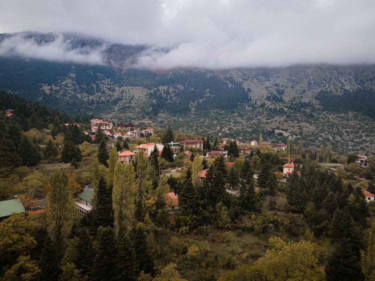 Parnassus Dreamwood Chalet Eptálofos 外观 照片