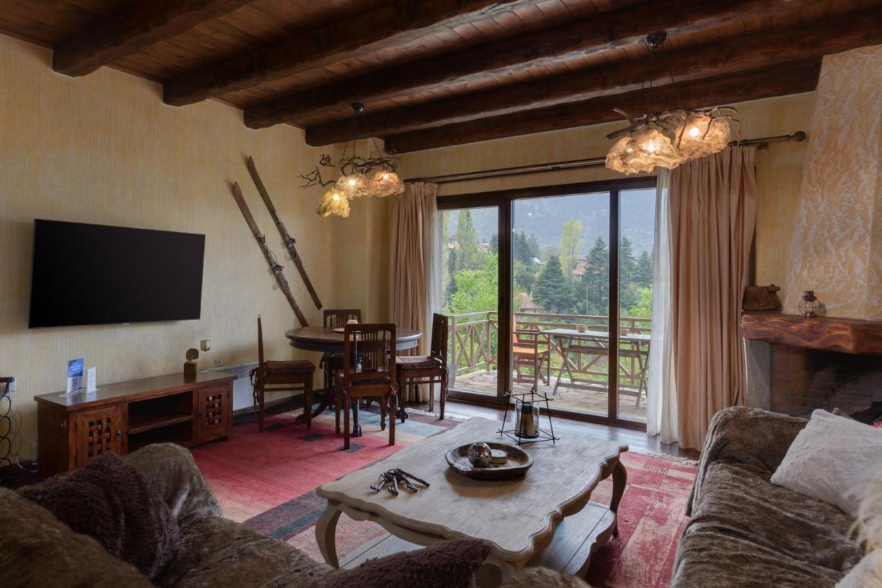 Parnassus Dreamwood Chalet Eptálofos 外观 照片